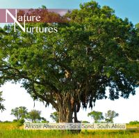 Nature Nurtures - African Afternoon - Sabi Sand - South Africa