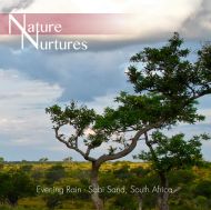 Nature Nurtures - Evening Rain - Sabi Sand- South Africa