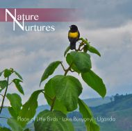 Nature Nurtures - Place of Little Birds - Lake Bunyonyi, Uganda