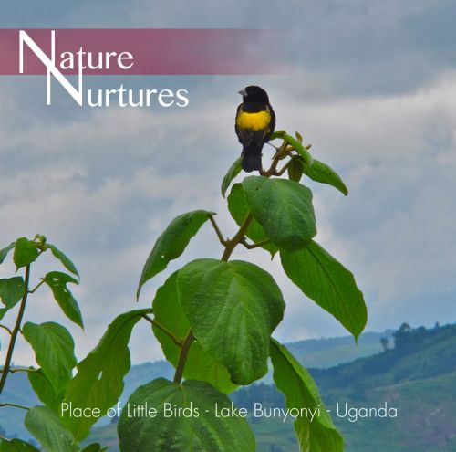 Nature Nurtures - Place of Little Birds - Lake Bunyonyi, Uganda